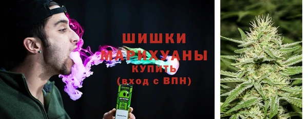 стафф Дмитров