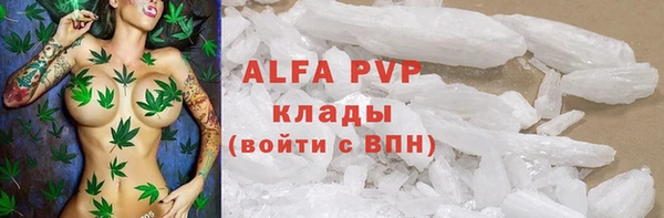 стафф Дмитров
