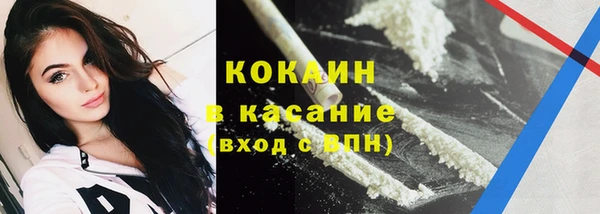 крисы Дмитриев