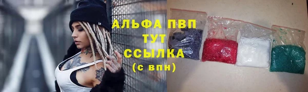 стафф Дмитров