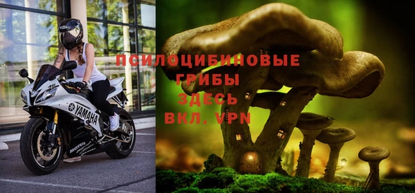 стафф Дмитров