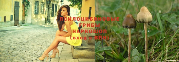 крисы Дмитриев