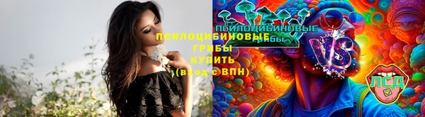 гашик Горняк