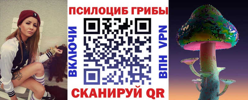 закладка  Салават  Галлюциногенные грибы MAGIC MUSHROOMS 